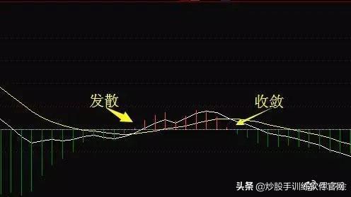 2024新奥资料免费精准175,实际指标_合神CBD704.22