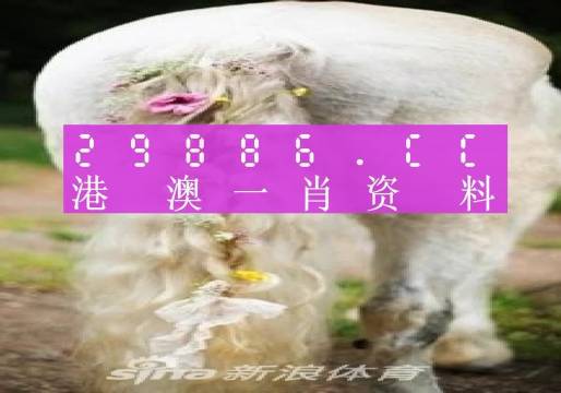 澳门一肖一码100准免费资料,高效解答解释现象_试探品11.371