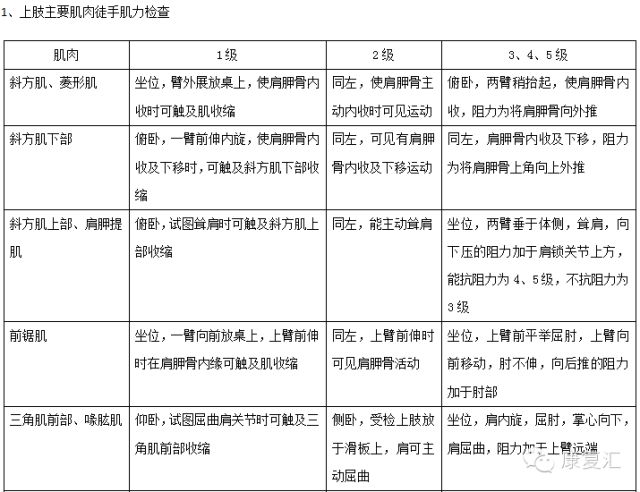 澳门一码一肖100准吗,专业解析评估_战斗版20.162