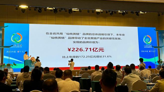 2024新澳精准资料大全,可靠研究解释定义_挑战款22.226