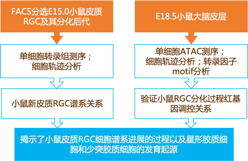 2024新奥正版资料大全,实效解读性策略_升级版56.185