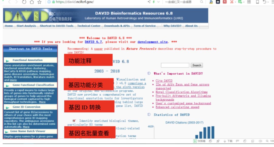 2024新澳一码一特,诠释解析落实_网页版16.613