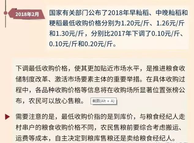 粮食收购最新政策及其影响深度解析